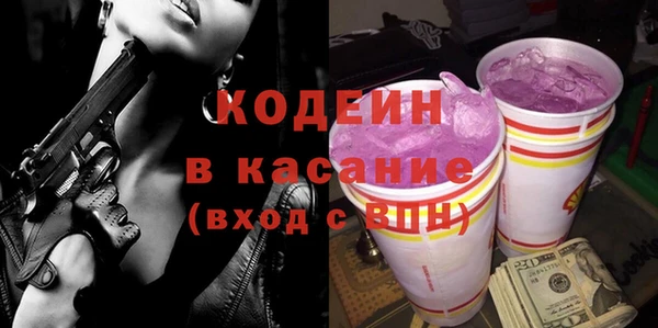 прущие грибы Медвежьегорск