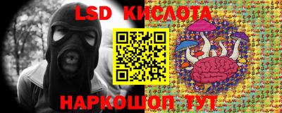 стафф Волгодонск