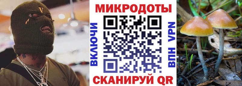 Галлюциногенные грибы мицелий  Воскресенск 