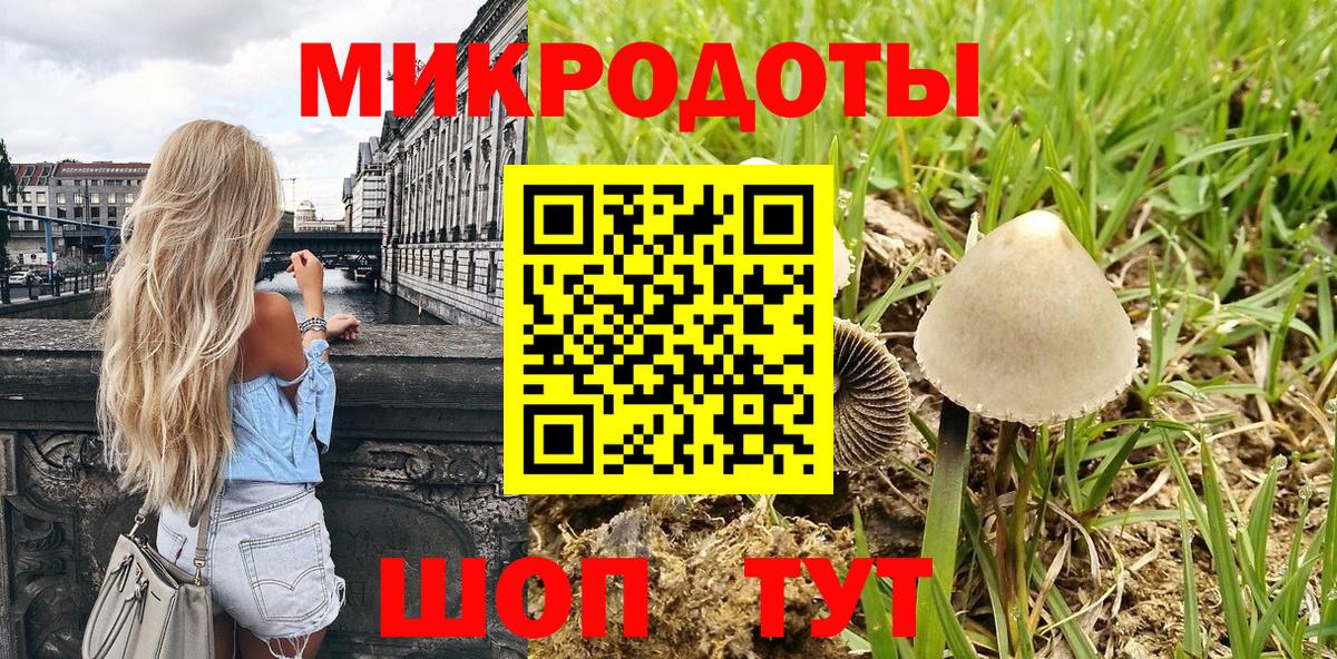 Псилоцибиновые грибы GOLDEN TEACHER Воскресенск