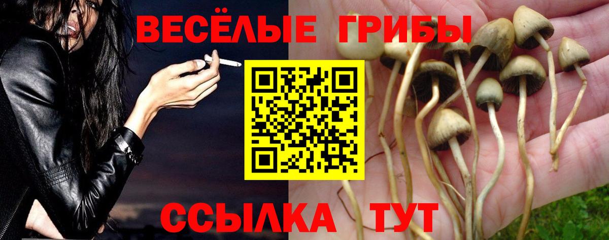 Воскресенск  Псилоцибиновые грибы мицелий  Вход с VPN 